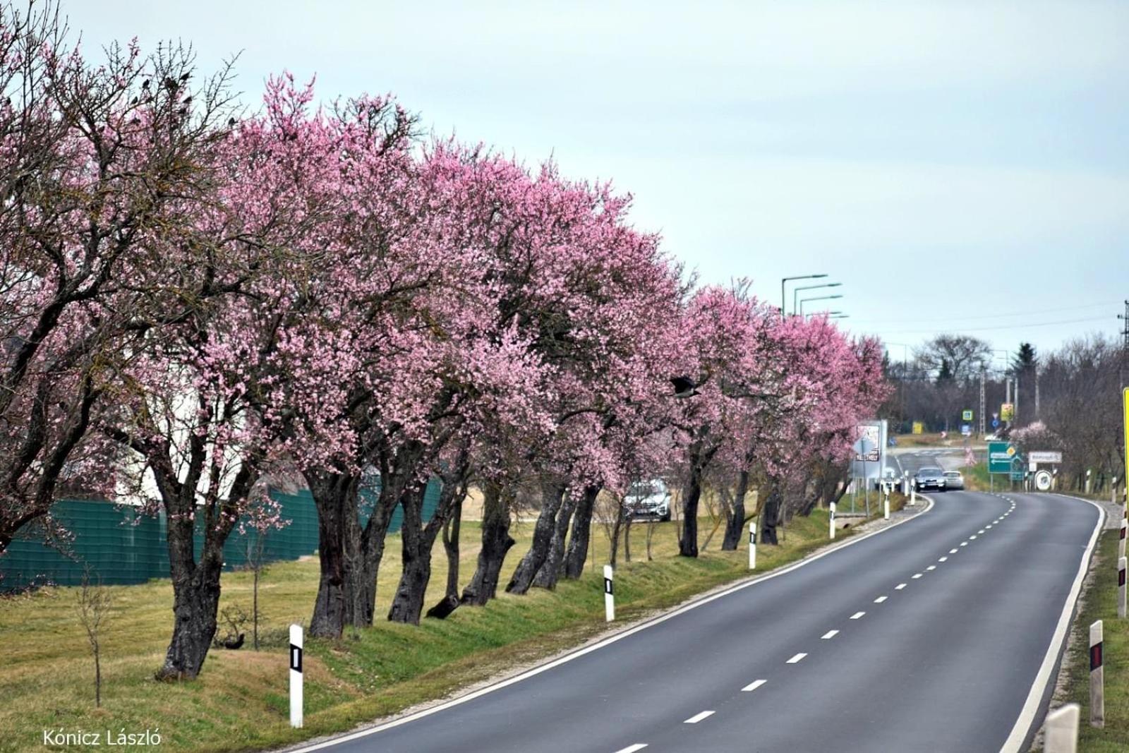 Platan Apartmanhaz Balatongyörök 외부 사진
